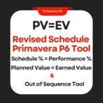 .PV=EV Revised Schedule P6 Tool