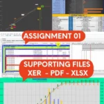 Planning Engineer Interview Assignment 01
